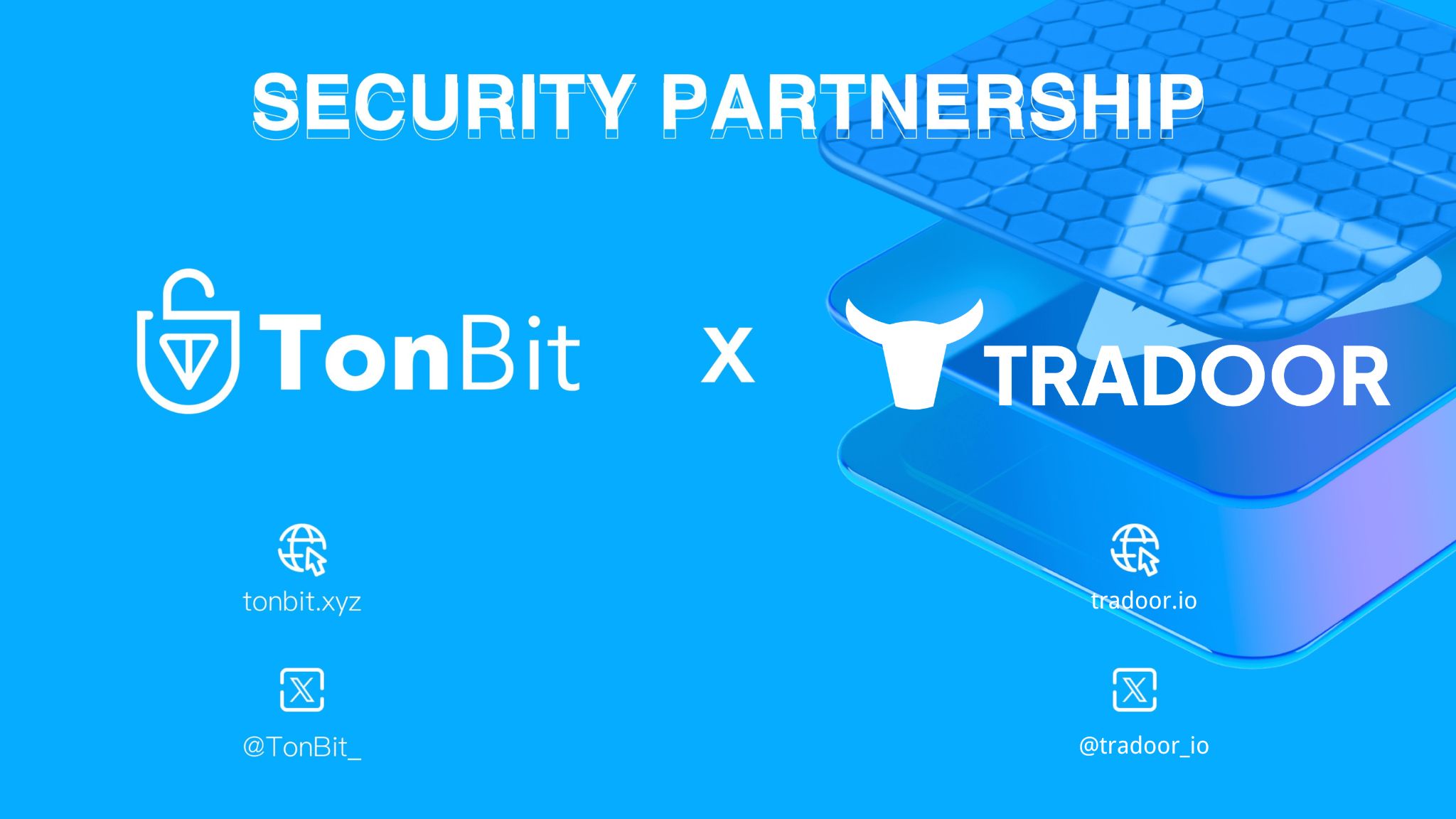 TonBit Completes Audit of Tradoor cover image